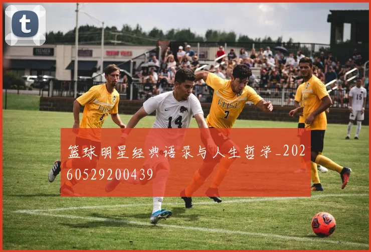 篮球明星经典语录与人生哲学_20260529200439